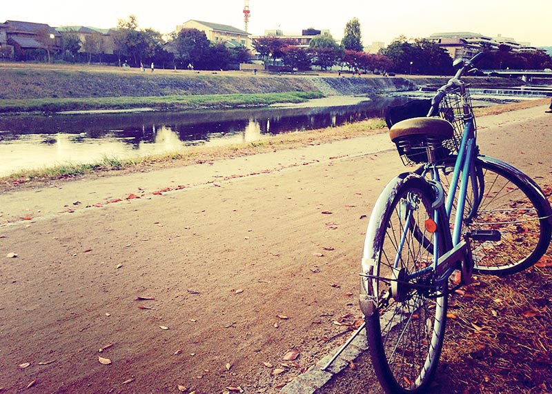 鴨川と自転車