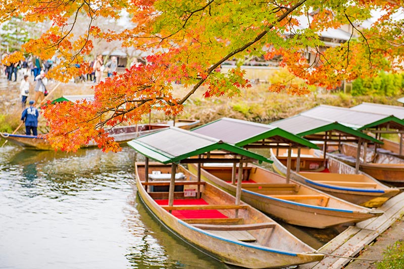 紅葉と屋形船